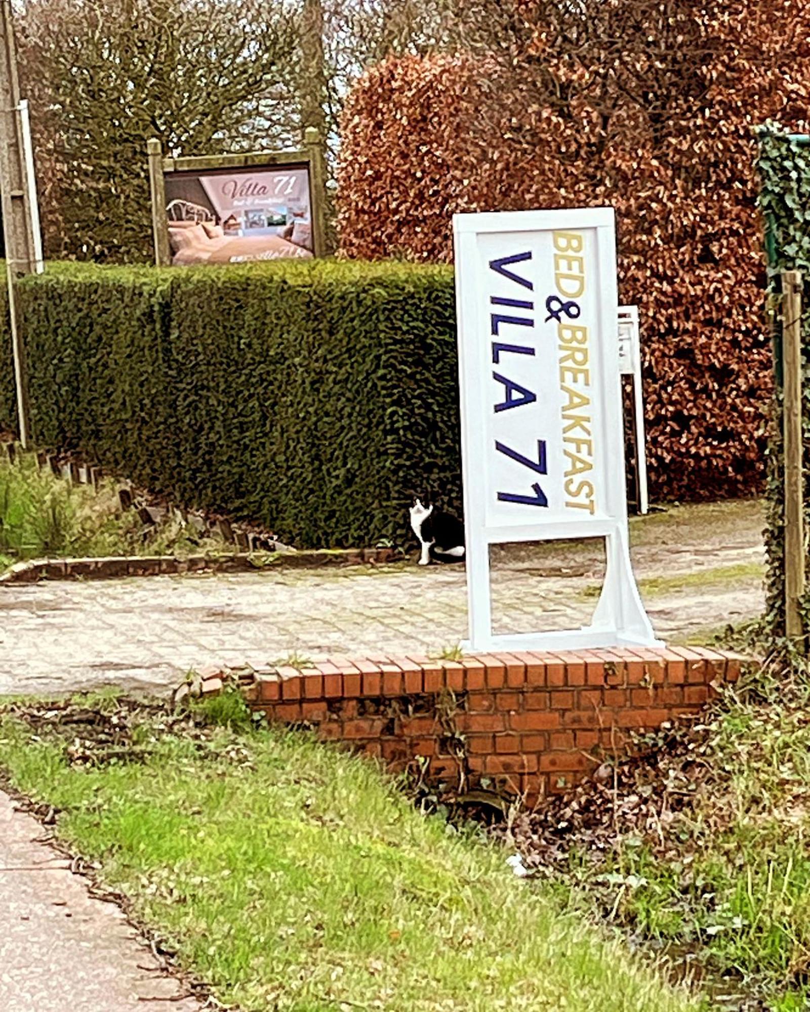 Villa71 Rijkevorsel Bagian luar foto
